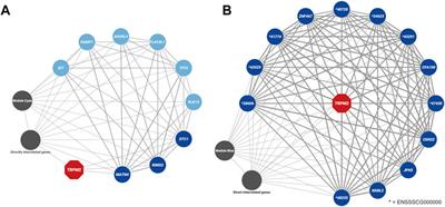 Altered hair root gene expression profiles highlight calcium signaling and lipid metabolism pathways to be associated with curly hair initiation and maintenance in Mangalitza pigs